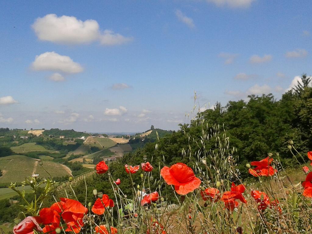 Ca D' Rot - Casa Ratti Konuk evi Vinchio Dış mekan fotoğraf