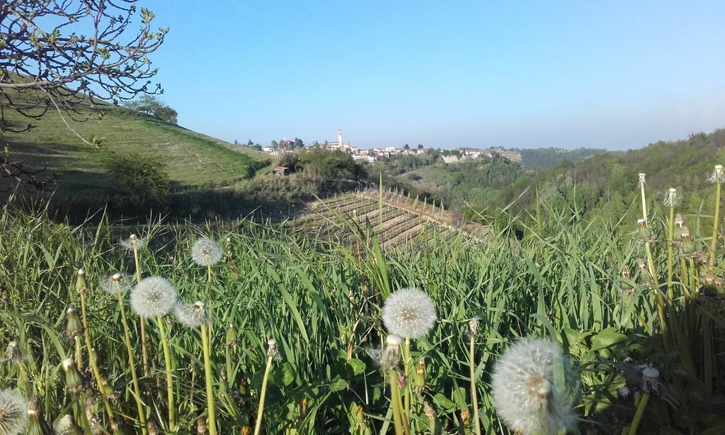 Ca D' Rot - Casa Ratti Konuk evi Vinchio Dış mekan fotoğraf