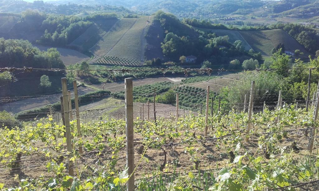 Ca D' Rot - Casa Ratti Konuk evi Vinchio Dış mekan fotoğraf