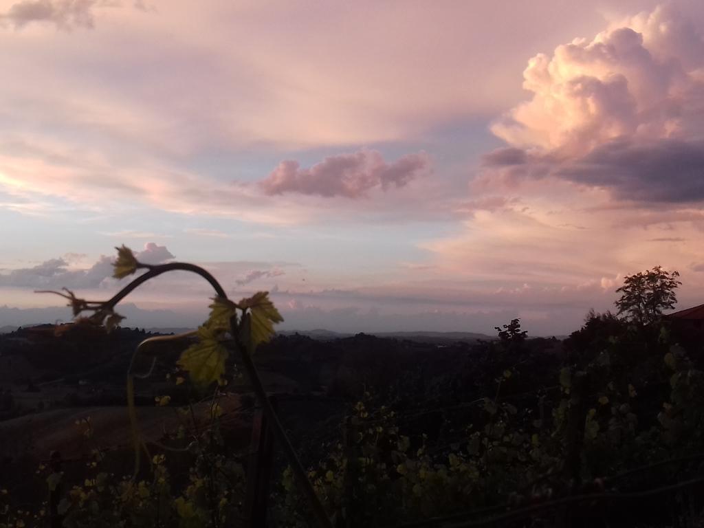 Ca D' Rot - Casa Ratti Konuk evi Vinchio Dış mekan fotoğraf