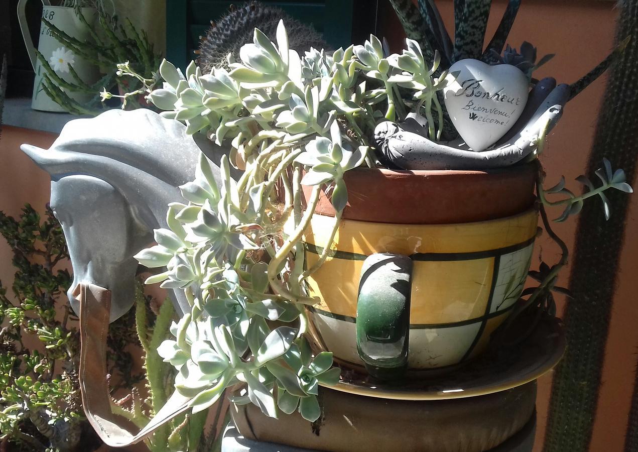 Ca D' Rot - Casa Ratti Konuk evi Vinchio Dış mekan fotoğraf